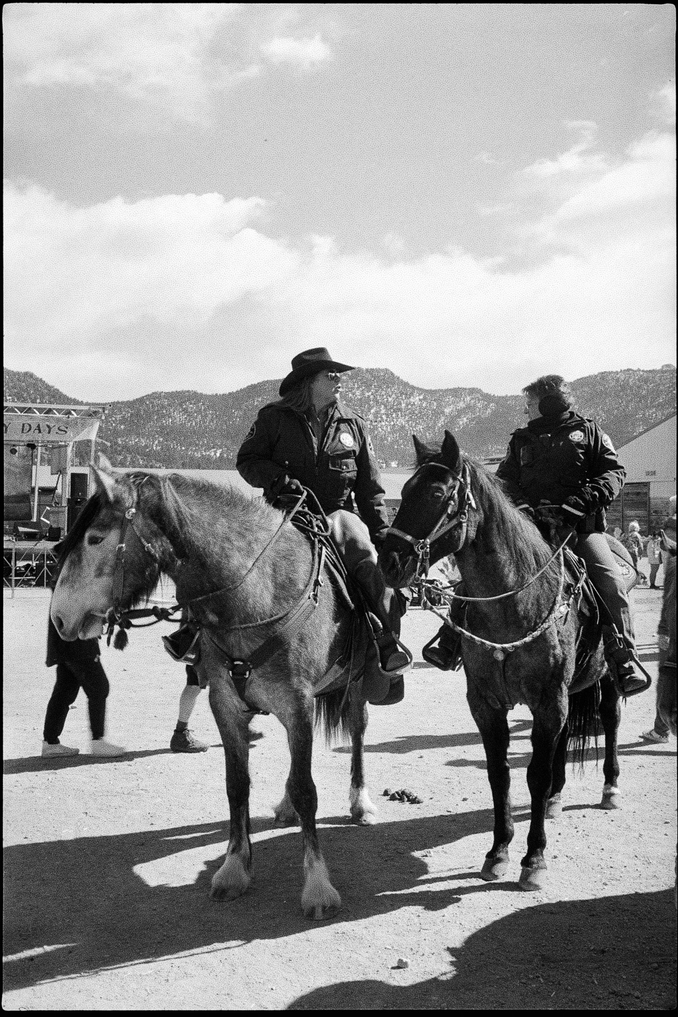 Cops on Horses