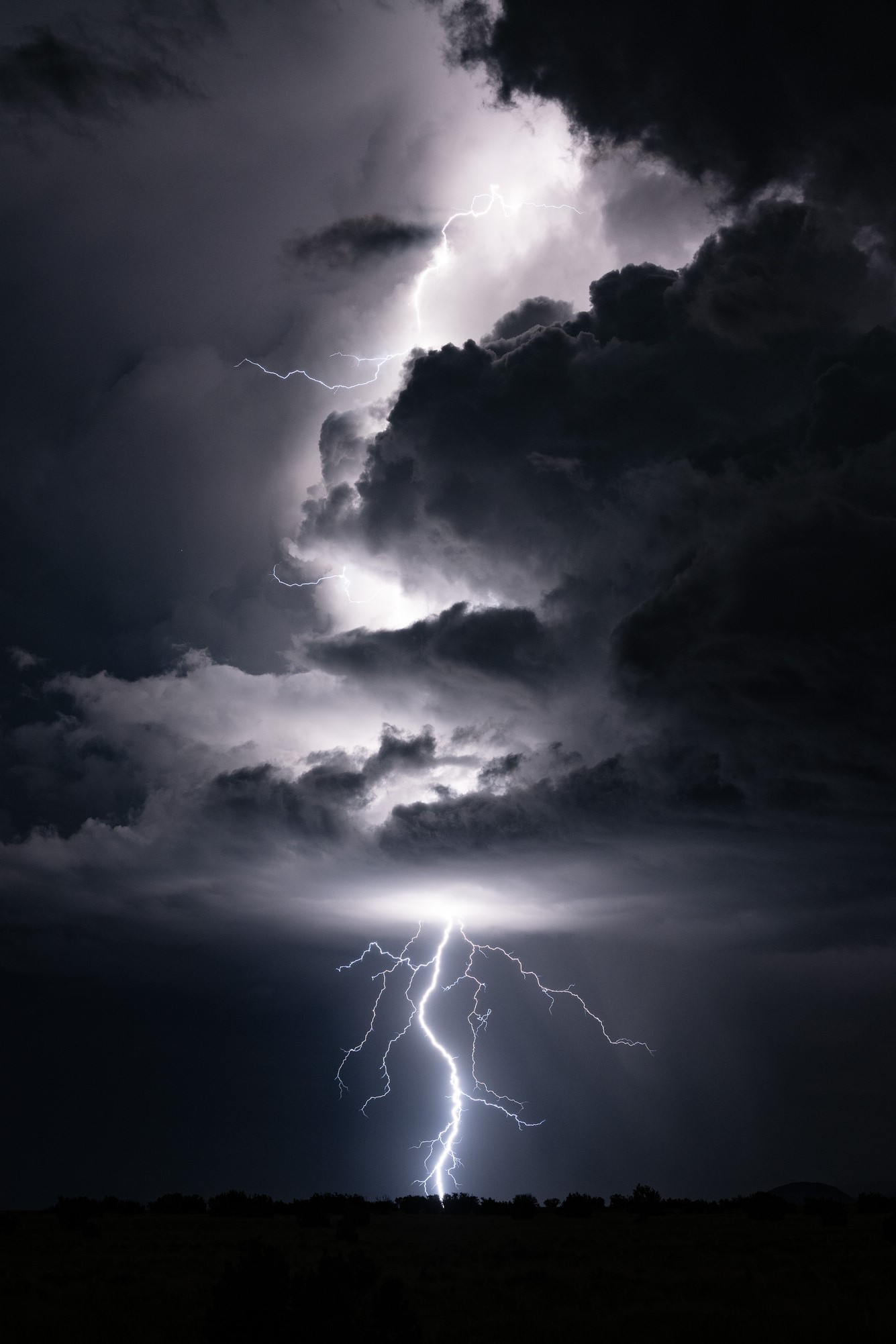 Northern Arizona Lightning